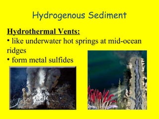 Hydrogenous Sediment Hydrothermal Vents: like underwater hot springs at mid-ocean ridges form metal sulfides 