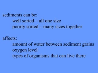 sediments can be: well sorted – all one size poorly sorted – many sizes together affects: amount of water between sediment grains oxygen level types of organisms that can live there 