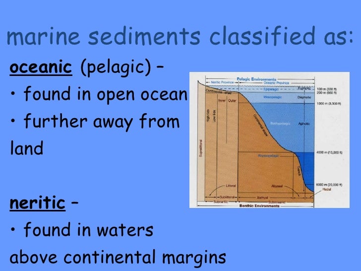 sediments in the ocean powerpoint ocean sediments