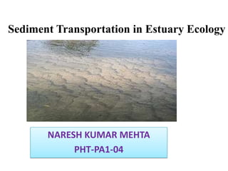 Sediment Transportation in Estuary Ecology

NARESH KUMAR MEHTA
PHT-PA1-04

 
