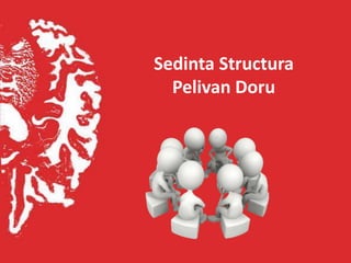 Sedinta Structura
  Pelivan Doru
 