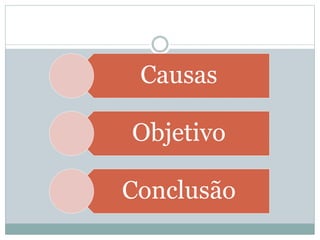 Causas 
Objetivo 
Conclusão 
 