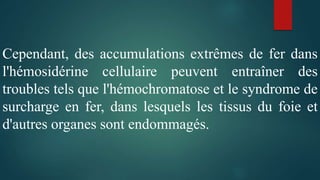 Cependant, des accumulations extrêmes de fer dans
l'hémosidérine cellulaire peuvent entraîner des
troubles tels que l'hémochromatose et le syndrome de
surcharge en fer, dans lesquels les tissus du foie et
d'autres organes sont endommagés.
 