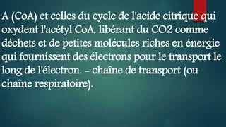 A (CoA) et celles du cycle de l'acide citrique qui
oxydent l'acétyl CoA, libérant du CO2 comme
déchets et de petites molécules riches en énergie
qui fournissent des électrons pour le transport le
long de l'électron. - chaîne de transport (ou
chaîne respiratoire).
 