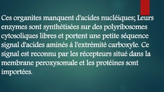 Ces organites manquent d'acides nucléiques; Leurs
enzymes sont synthétisées sur des polyribosomes
cytosoliques libres et portent une petite séquence
signal d'acides aminés à l'extrémité carboxyle. Ce
signal est reconnu par les récepteurs situé dans la
membrane peroxysomale et les protéines sont
importées.
 