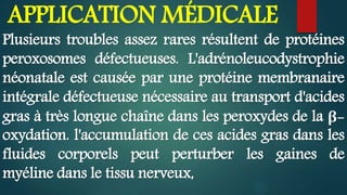 APPLICATION MÉDICALE
Plusieurs troubles assez rares résultent de protéines
peroxosomes défectueuses. L'adrénoleucodystrophie
néonatale est causée par une protéine membranaire
intégrale défectueuse nécessaire au transport d'acides
gras à très longue chaîne dans les peroxydes de la β-
oxydation. l'accumulation de ces acides gras dans les
fluides corporels peut perturber les gaines de
myéline dans le tissu nerveux,
 