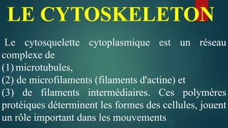 LE CYTOSKELETON
Le cytosquelette cytoplasmique est un réseau
complexe de
(1) microtubules,
(2) de microfilaments (filaments d'actine) et
(3) de filaments intermédiaires. Ces polymères
protéiques déterminent les formes des cellules, jouent
un rôle important dans les mouvements
 