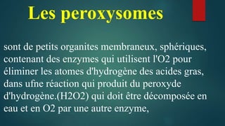 sont de petits organites membraneux, sphériques,
contenant des enzymes qui utilisent l'O2 pour
éliminer les atomes d'hydrogène des acides gras,
dans ufne réaction qui produit du peroxyde
d'hydrogène.(H2O2) qui doit être décomposée en
eau et en O2 par une autre enzyme,
Les peroxysomes
 