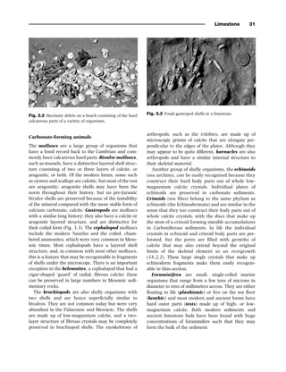 Sedi+Stratigraphy book by gary nichols.. | PDF