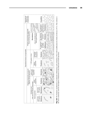 Sedi+Stratigraphy book by gary nichols.. | PDF