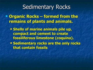 Sedimentary Rocks Containing Shells Sedimentary & Metamorphic Rocks | PPT