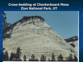 Sedimentary & Metamorphic Rocks | PPT