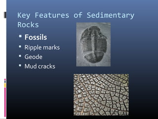Sed meta rocks | PPT | Geology | Science