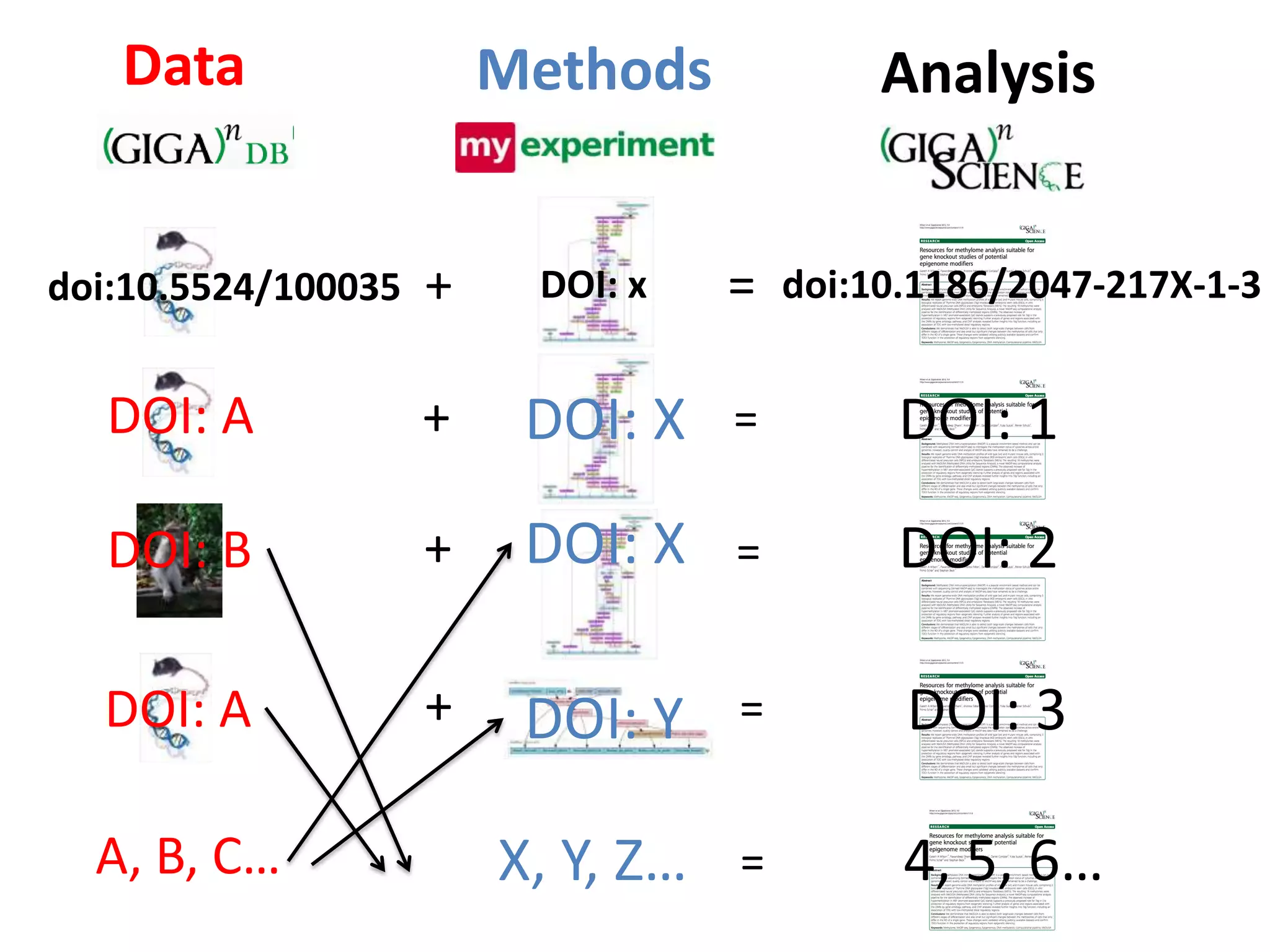 Data                  Methods             Analysis


doi:10.5524/100035   +    DOI: x    =   doi:10.1186/2047-217X-1-3


   DOI: A            +    DOI: X    =         DOI: 1

   DOI: B            +    DOI: X    =         DOI: 2

  DOI: A             +    DOI: Y    =         DOI: 3

  A, B, C…               X, Y, Z…   =         4, 5, 6…
 