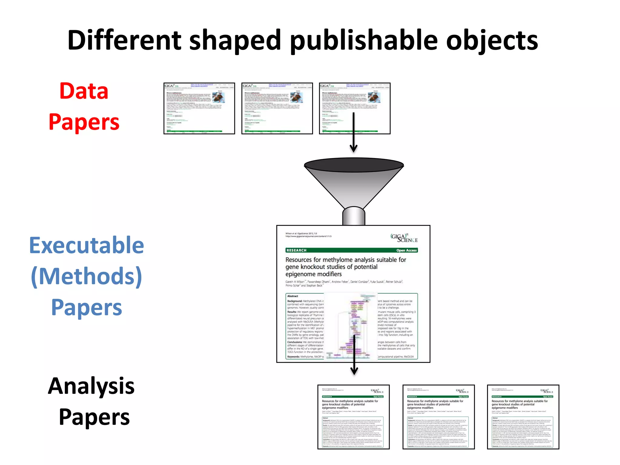 Different shaped publishable objects
  Data
 Papers



Executable
(Methods)
  Papers


 Analysis
  Papers
 