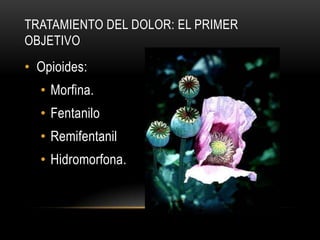 TRATAMIENTO DEL DOLOR: EL PRIMER
OBJETIVO
• Opioides:
  • Morfina.
  • Fentanilo
  • Remifentanil
  • Hidromorfona.
 