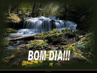 BOM DIA!!! 