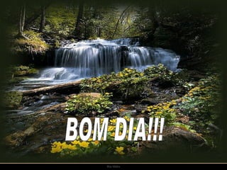 BOM DIA!!! 