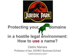 Protecting your  domains  in a hostile legal environment: How to  use  a name? Cédric Manara Professor of law, EDHEC Businees School <cedricmanara.com> 