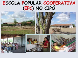 Os núcleos do PRECE passam a ser  denominados de EscolasPopularesCooperativas  (EPCs).ESCOLA POPULAR COOPERATIVA (EPC) NO CIPÓ