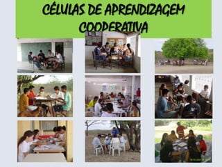 CÉLULAS DE APRENDIZAGEM COOPERATIVA
