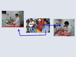 FranciscoDoutorando em fitopatologiaNobertoDoutorando em química