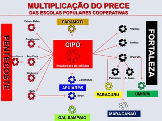 As EPCs, atualmente, estão envolvidas com a execução de projetos nas áreas de EDUCAÇAO, CONTROLE SOCIAL E GOVERNANÇA e DESENVOLVIMENTO ECONÔMICO. MULTIPLICAÇÃO DO PRECE DAS ESCOLAS POPULARES COOPERATIVASPARAMOTICIPÓIncubadora de célulasAPUIARÉSGAL SAMPAIOEstrela DalvaPirambuProvidenciaBenfica FORTALEZABoa VistaErva MouraEPC FORPENTECOSTEOmbreiraC. CearáPalmeirasCanafistulaSedeMARACANAÚPARACURUSedeUMIRIM