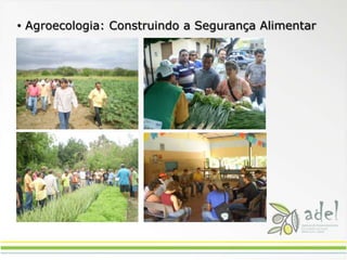 ...ganha esperança de uma vida melhor.Através da educação, o nosso povo tão sofrido que aparentemente está morto...