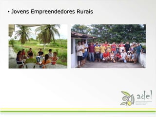 Seduc coordenadores dos credes