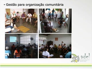 Seduc coordenadores dos credes