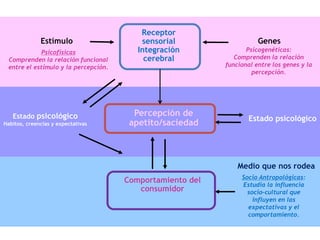 Receptor
sensorial
Integración
cerebral
Percepción de
apetito/saciedad
Estímulo
Psicofísicas
Comprenden la relación funcional
entre el estímulo y la percepción.
Estado psicológico
Habitos, creencias y expectativas
Comportamiento del
consumidor
Estado psicológico
Psicogenéticas:
Comprenden la relación
funcional entre los genes y la
percepción.
Genes
Medio que nos rodea
Socio Antropológicas:
Estudia la influencia
socio-cultural que
influyen en las
expectativas y el
comportamiento.
 
