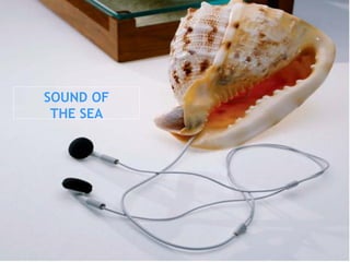 SOUND OF
THE SEA
 