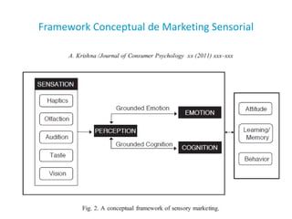 Framework Conceptual de Marketing Sensorial
 