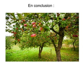 En conclusion :

 