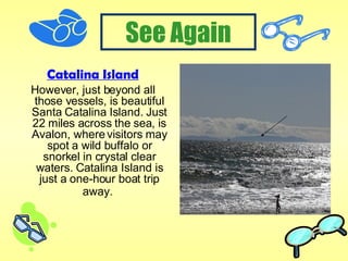Catalina Island However, just beyond all those vessels, is beautiful Santa Catalina Island. Just 22 miles across the sea, is Avalon, where visitors may spot a wild buffalo or snorkel in crystal clear waters. Catalina Island is just a one-hour boat trip away.   