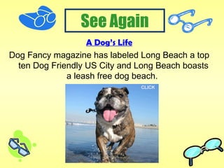 A Dog’s Life Dog Fancy magazine has labeled Long Beach a top ten Dog Friendly US City and Long Beach boasts a leash free dog beach.  