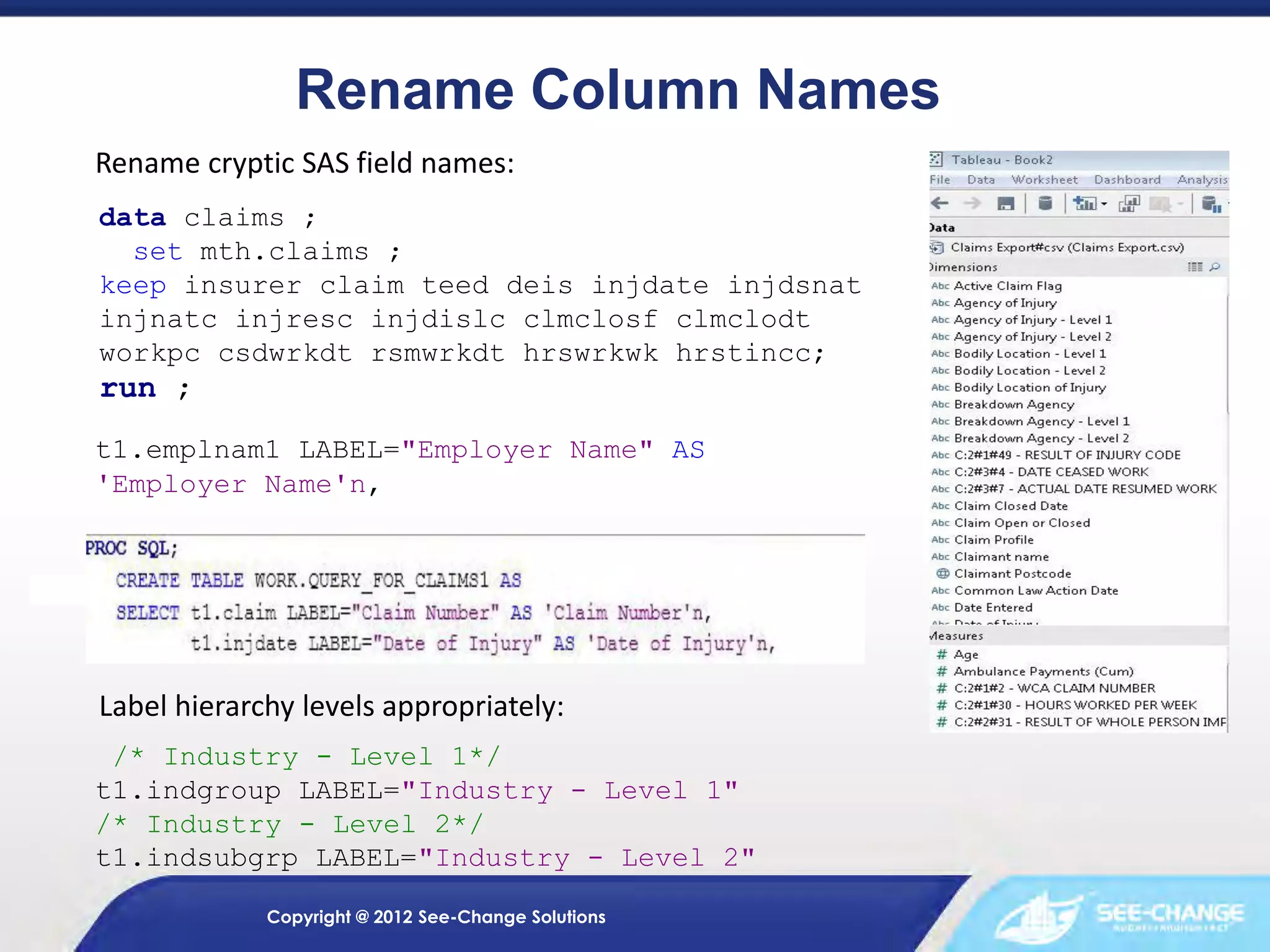 Rename Column Names
Rename cryptic SAS field names:
data claims ;
set mth.claims ;
keep insurer claim teed deis injdate injdsnat
injnatc injresc injdislc clmclosf clmclodt
workpc csdwrkdt rsmwrkdt hrswrkwk hrstincc;

run ;
t1.emplnam1 LABEL="Employer Name" AS
'Employer Name'n,

Label hierarchy levels appropriately:
/* Industry - Level 1*/
t1.indgroup LABEL="Industry - Level 1"
/* Industry - Level 2*/
t1.indsubgrp LABEL="Industry - Level 2"
Copyright @ 2012 See-Change Solutions

 