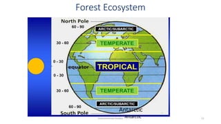 Forest Ecosystem
Antarctic
Antarctic
Environmental Studies 11
 
