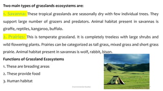 Two main types of grasslands ecosystems are:
1. Savanna: These tropical grasslands are seasonally dry with few individual trees. They
support large number of grazers and predators. Animal habitat present in savannas is
giraffe, reptiles, kangaroo, buffalo.
2. Prairies: This is temperate grassland. It is completely treeless with large shrubs and
wild flowering plants. Prairies can be categorized as tall grass, mixed grass and short grass
prairie. Animal habitat present in savannas is wolf, rabbit, bison.
Functions of Grassland Ecosystems
1. These are breading areas
2. These provide food
3. Human habitat
Environmental Studies 17
 