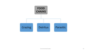 Environmental Studies 23
FOOD
CHAINS
Grazing Detritus Parasitic
 