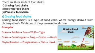 There are three kinds of food chains
1) Grazing food chains
2) Detritus food chains
3) Parasitic food chain
1) Grazing food chains
Grazing food chains is a type of food chain where energy derived from
photosynthesis. This is one of the prominent food chain
24
Examples
Grass→ Rabbit→ Fox→ Wolf→ Tiger
Grass→ Grasshopper→ Frog → Snake → Hawk
Phytoplankton →Zooplankton→ Fish→ Hawk
 