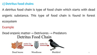 2) Detritus food chains
A detritus food chain is type of food chain which starts with dead
organic substance. This type of food chain is found in forest
ecosystem
Example
Dead organic matter→ Detrivores → Predators
25
 