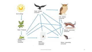 Environmental Studies 29
 