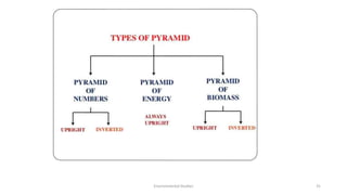 Environmental Studies 31
 