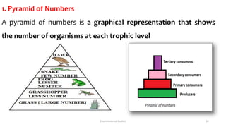 1. Pyramid of Numbers
A pyramid of numbers is a graphical representation that shows
the number of organisms at each trophic level
Environmental Studies 32
 