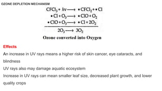 OZONE DEPLETION MECHANISM
Effects
An increase in UV rays means a higher risk of skin cancer, eye cataracts, and
blindness
UV rays also may damage aquatic ecosystem
Increase in UV rays can mean smaller leaf size, decreased plant growth, and lower
quality crops
 
