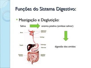 Funções do Sistema Digestivo:

   Mastigação e Deglutição:
    Saliva       enzima ptialina (amilase salivar)




                              digestão dos amidos
 