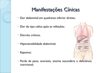 Manifestações Cínicas
• Dor abdominal em quadrante inferior direito;

• Dor do tipo cólica após as refeições;

• Diarréia crônica;

• Hipersensibilidade abdominal;

• Espasmo;

• Perda de peso, anorexia, anemia secundária e deficiência
  nutricional;
 