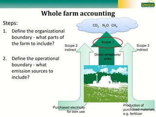 Seebauer Unique methods oct 2011