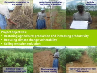 Seebauer Unique methods oct 2011